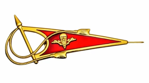 Околыш на берет десантника №3067