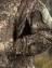 Костюм демисезонный на флисе ткань Софтшелл Softshell цвет камуфляж Питон Python (лес)