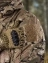 Куртка мужская Kamukamu тактическая военная демисезонная на флисе ткань Softshell цвет камуфляж MTP