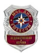 Жетон МЧС ДНР Ведомственная охрана