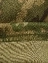 Балаклава тактическая Coolmax мужская летняя камуфляж Digital Woodland