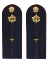 Погоны ФСИН комплект 3шт. картон (в сборе) укомплектованные с фурнитурой звание Младший  лейтенант 14х5 см