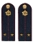 Погоны ФСИН комплект 3шт. картон (в сборе) укомплектованные с фурнитурой звание лейтенант 14х5 см
