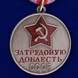 Сувенирная медаль За трудовую доблесть СССР №622(384)