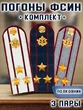 Погоны ФСИН комплект 3шт. картон (в сборе) укомплектованные с фурнитурой звание Полковник 14х5 см