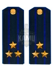 Погоны ФСБ на китель цвет синий картон, звание Полковник 14х5,5см