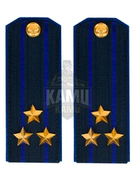 Погоны ФСБ на китель цвет синий картон, звание Полковник 14х5,5см