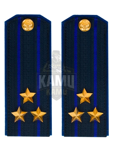Погоны ФСБ на китель цвет синий картон, звание Полковник 14х5,5см