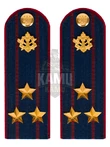 Погоны ФСИН на куртку картон (в сборе) укомплектованные с фурнитурой звание Полковник 14х5 см