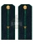 Погоны Пограничной службы ПС ФСБ в сборе картон на китель звание Младший лейтенант 14х5,5см