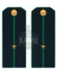 Погоны Пограничной службы ПС ФСБ в сборе картон на китель звание Младший лейтенант 14х5,5см