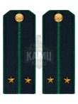 Погоны Пограничной службы ПС ФСБ в сборе картон на КИТЕЛЬ звание Лейтенант 14х5,5см