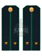 Погоны Пограничной службы ПС ФСБ в сборе картон на КИТЕЛЬ звание Лейтенант 14х5,5см