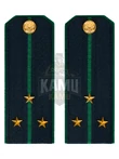 Погоны Пограничной службы ПС ФСБ в сборе картон на китель звание Старший лейтенант 14х5,5см