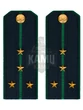 Погоны Пограничной службы ПС ФСБ в сборе картон на китель звание Капитан 14х5,5см