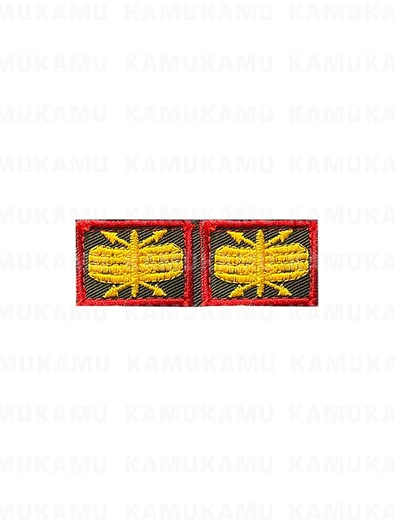 Нашивка петличная РТВ цвет оливковый