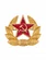 Кокарда СССР солдатская