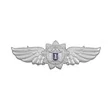 Нагрудный знак ФСО 1 класс серебристый