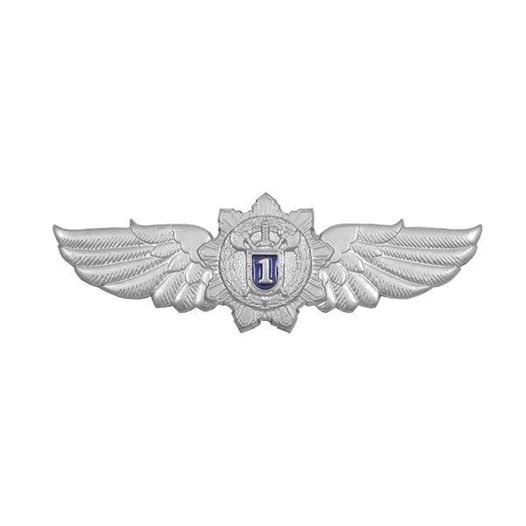 Нагрудный знак ФСО 1 класс серебристый