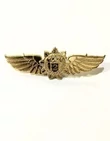 Нагрудный знак классность ФСО 2