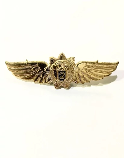 Нагрудный знак классность ФСО 2