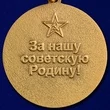 Медаль За верность присяге. Союз советских офицеров (За нашу советскую родину)