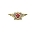 Знак нагрудный Классность офицерского состава ФСИН "1"