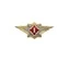 Знак нагрудный Классность офицерского состава ФСИН "1"