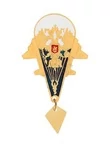 Знак нагрудный ВДВ м.38 парашют с подвеской и Гербом России (закрутка)