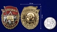 Знак "За службу в Спецназе" №2922
