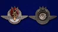 Знак "Отличный воздушный боец"