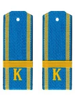 Погоны курсант ВВС, ВДВ, ВКС голубые ЕФРЕЙТОР Пластиковые
