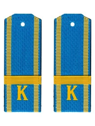 Погоны курсант ВВС, ВДВ, ВКС голубые ЕФРЕЙТОР Пластиковые