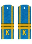 Погоны курсант ВВС, ВДВ, ВКС голубые младший сержант Пластиковые