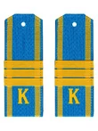 Погоны курсантские ВВС, ВДВ, ВКС голубые сержант Пластиковые