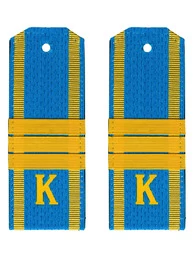 Погоны курсантские ВВС, ВДВ, ВКС голубые сержант Пластиковые