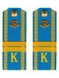 Погоны курсантские ВДВ с фурнитурой голубые младший сержант Пластиковые
