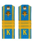 Погоны курсантские ВДВ с фурнитурой голубые сержант Пластиковые
