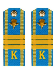 Погоны курсантские ВДВ с фурнитурой голубые сержант Пластиковые