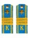 Погоны курсантские ВДВ с фурнитурой голубые сержант Пластиковые