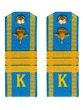 Погоны курсантские ВДВ с фурнитурой голубые сержант Пластиковые