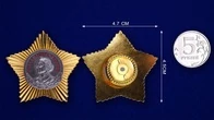 Сувенирный орден Суворова 2 степени №647(411)