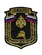 Шеврон ГПН МЧС России