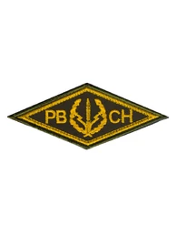 Шеврон вышитый РВСН ромб