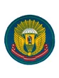 Шеврон нарукавный Рязанского института ВДВ фетровый